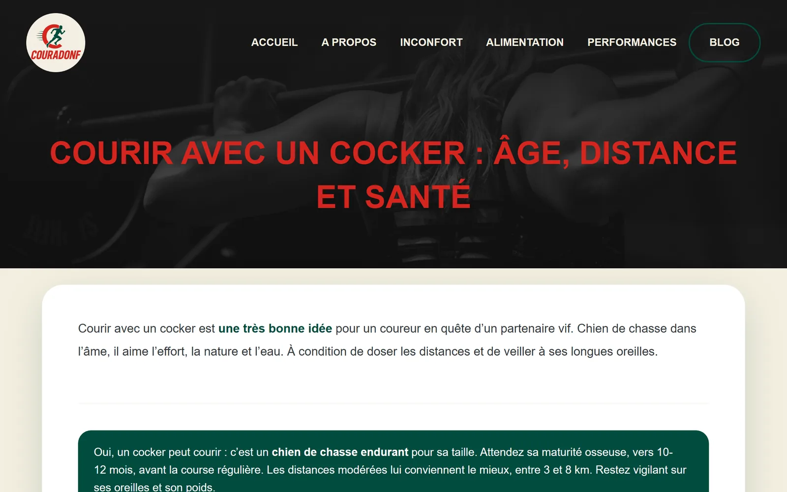 Article Couradonf du silo canicross : courir avec un cocker, âge, distance et santé